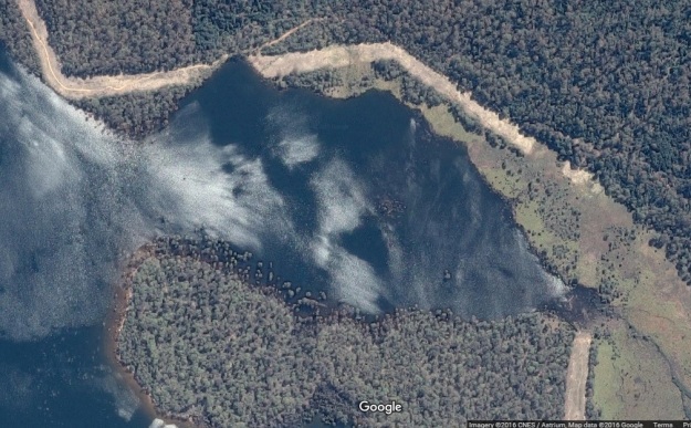 Google map of swampy area